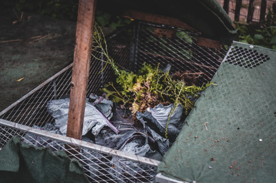 Making your own compost