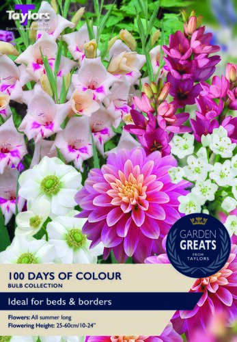 100 Days of Colour Bulb Pack