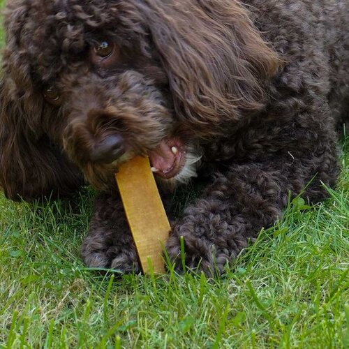 2 Medium Yak Chews with Cinnamon