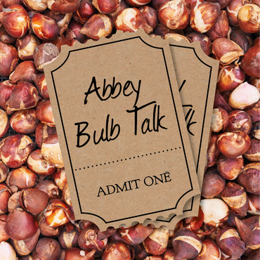 Abbey Talk: An Expert Guide to Spring Bulbs
