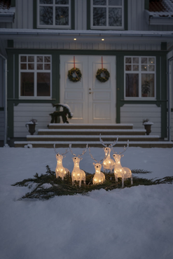 Acrylic Reindeer (Set of 5) - image 4