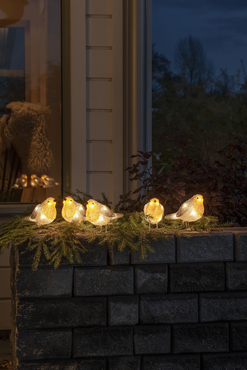 Acrylic Robin Lights (Set of 5) - image 3