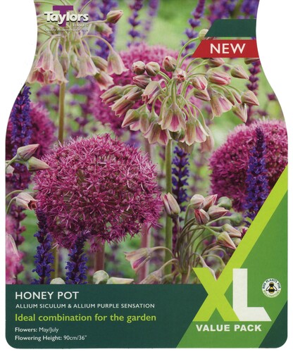 Allium Honey Pot