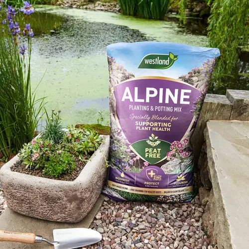Alpine Planting Mix Peat Free 25L - image 1