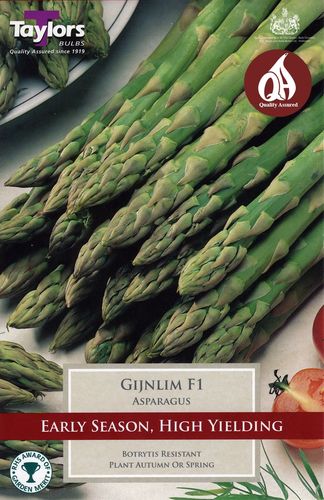 Asparagus Gijnlim