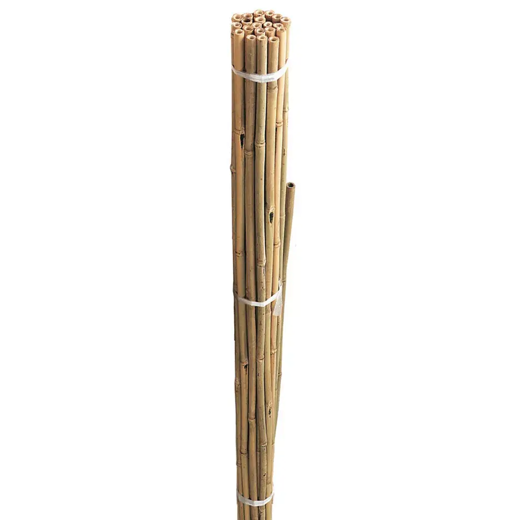 Bamboo Canes 2.4m 10 Pack - Stewarts Garden Centre