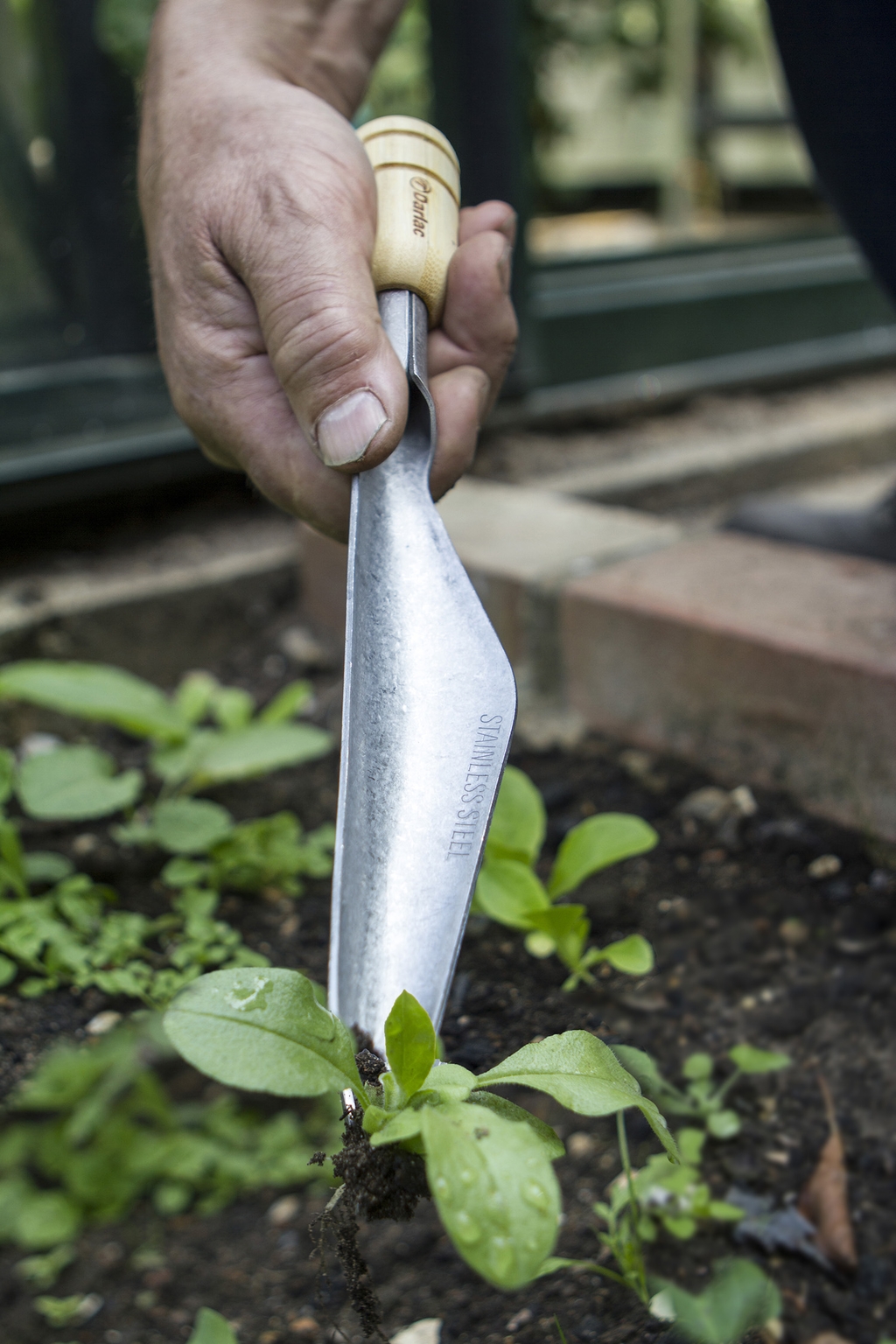 Bamboo Weeding & Seeding Trowel - Stewarts Garden Centre