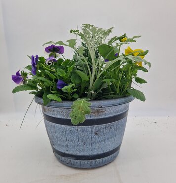 Barrel Planter 30cm