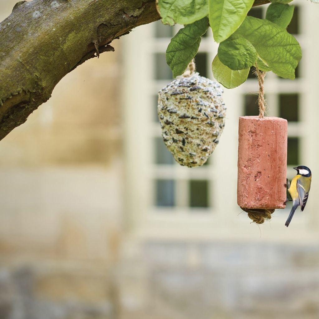 gardman berry suet treats