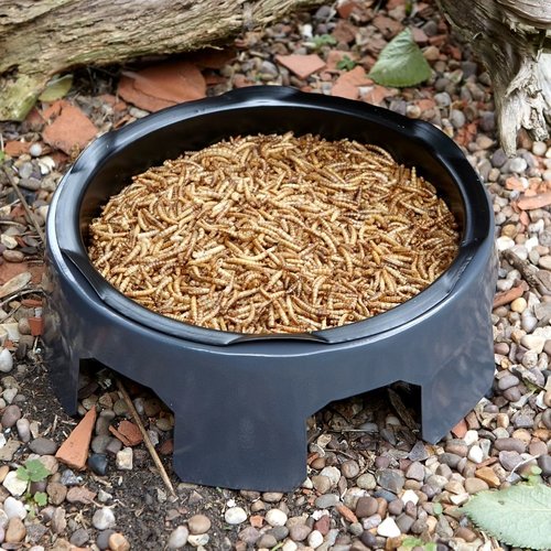 Bird Food Mealworm 200g Pouch - image 2