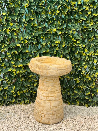 Birdbath Rock Sandstone