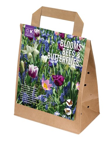 Blooms, Bees & Butterflies Blue Shades