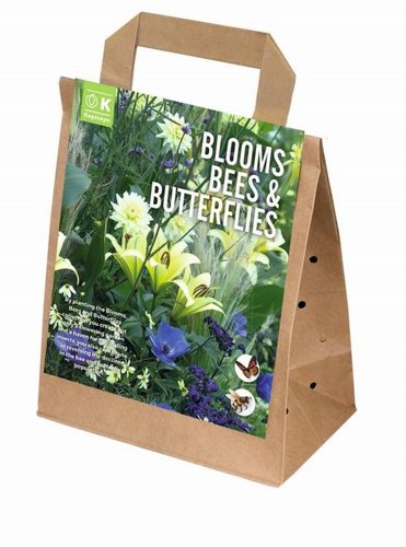 Blooms, Bees & Butterflies Blue/White Mix