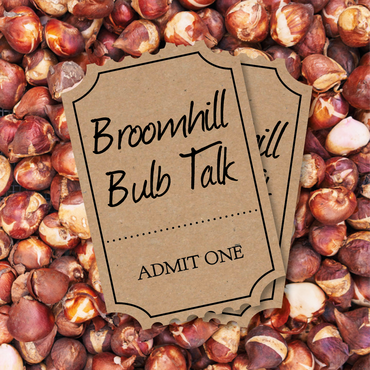 Broomhill Talk: An Expert Guide to Bulbs