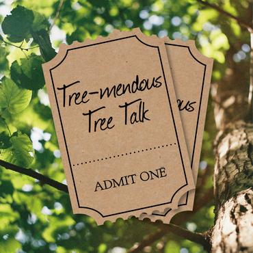 Broomhill Talk: Tree-mendous Trees