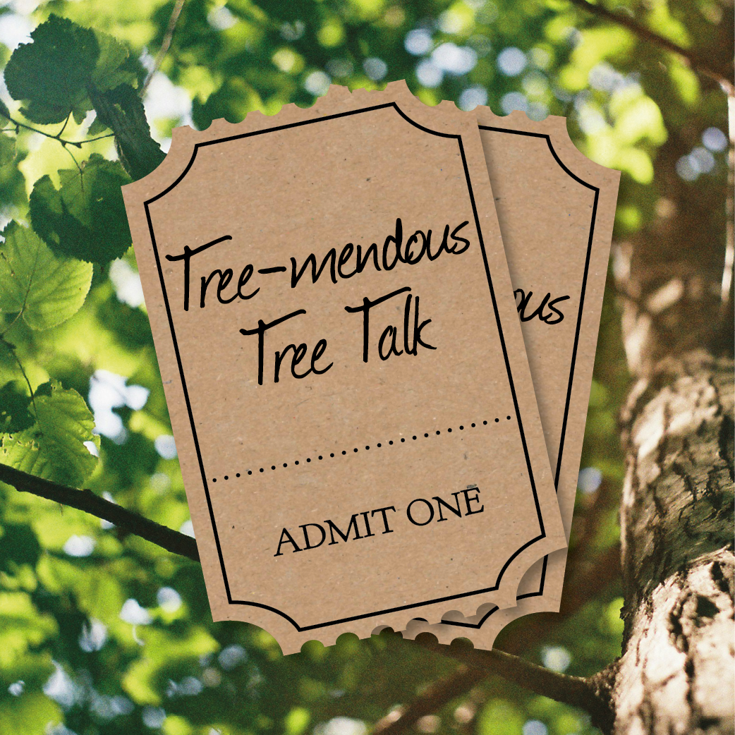 Broomhill Talk: Tree-mendous Trees - Stewarts Garden Centre