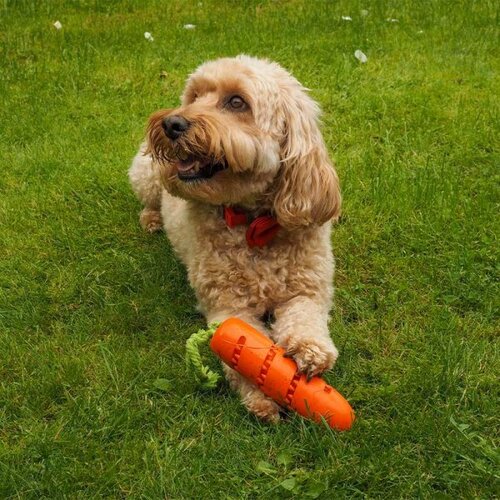 Carrot Treat Dispencer - image 1