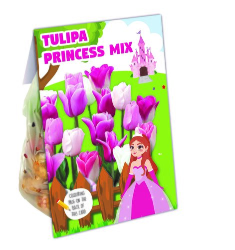 Combi Tulip Princess Mix