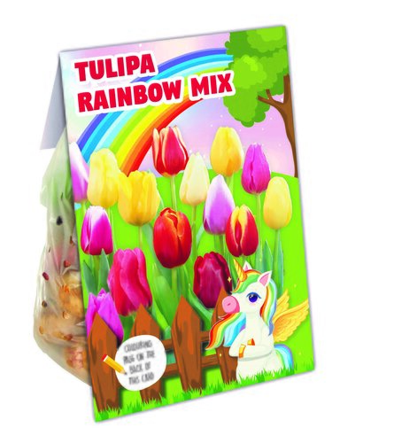 Combi Tulip Rainbow Mix