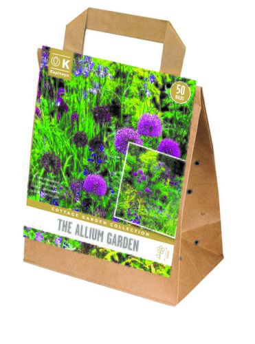 Cottage Garden Allium Garden Collection