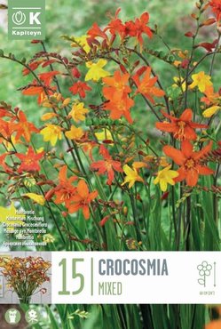 Crocosmia Mixed Syn.Montbretia