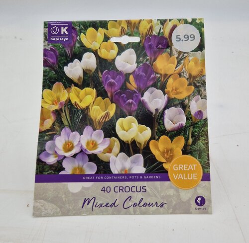 Crocus Species Mixed Promo Pack