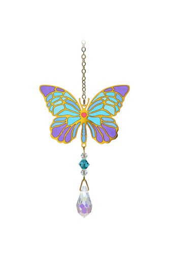 Crystal Dreams Butterfly Iris