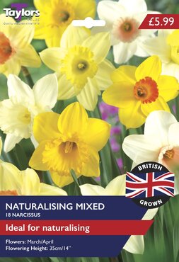 Daffodil Naturalising Mix