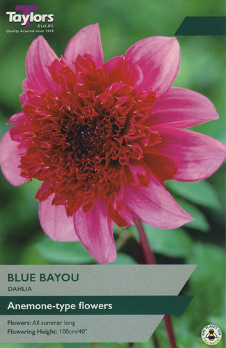 Dahlia Bayou