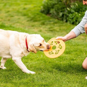 Dog Spinner 25cm - image 1