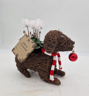 Dog with Bauble Planter - image 1