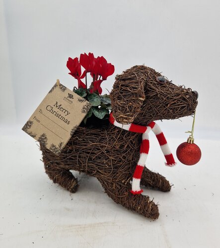 Dog with Bauble Planter - image 2