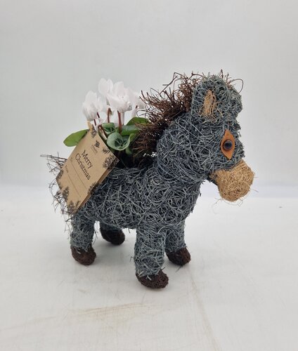 Donkey Brown Planter - image 2