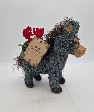 Donkey Brown Planter - image 1