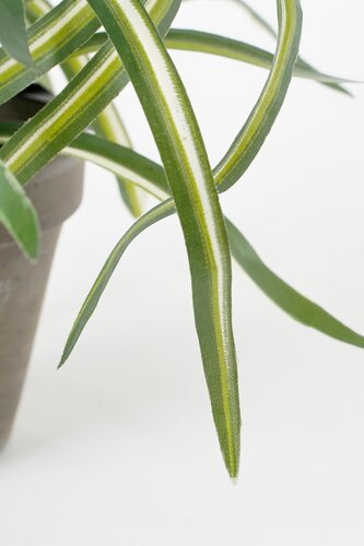 Dracaena White Artificial Plant - image 3