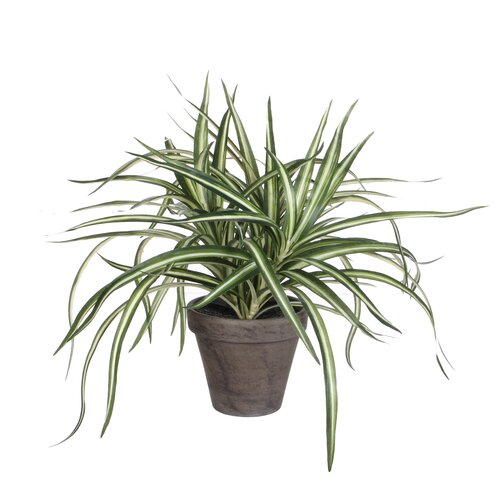 Dracaena White Artificial Plant - image 1