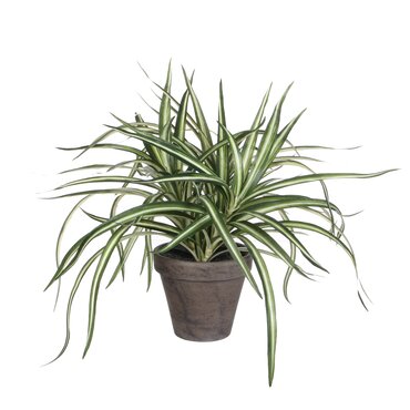 Dracaena White Artificial Plant - image 1