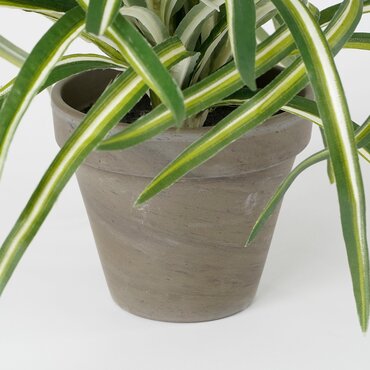 Dracaena White Artificial Plant - image 4