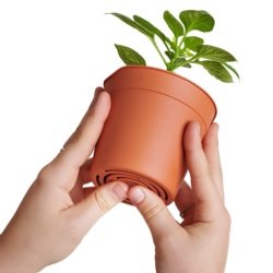 Easy Release Pot 14.6cm 5pack - image 2