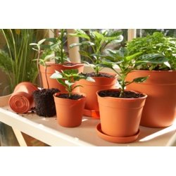 Easy Release Pot 7.6cm 5pack - image 4