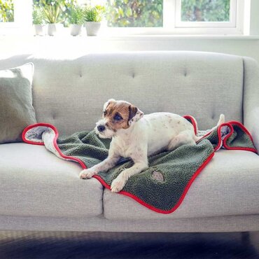 Feathered Friends Comforter - image 1