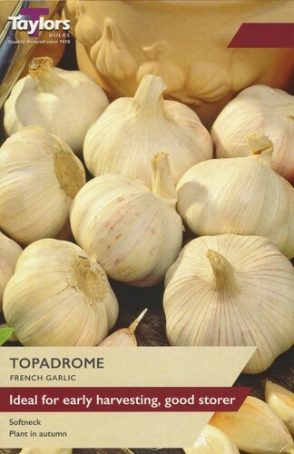 Garlic Topadrome (French)