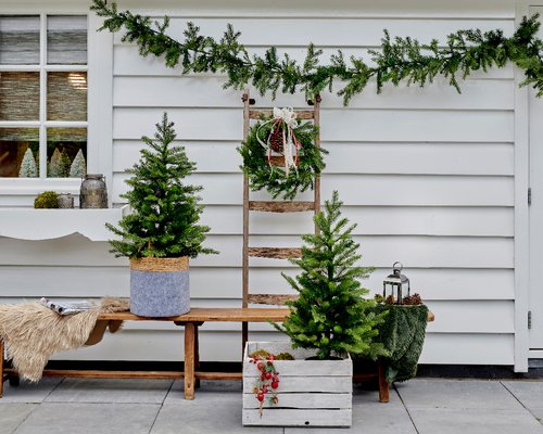 Grandis Pre-Lit Wreath, Garland & Trees Set - image 2