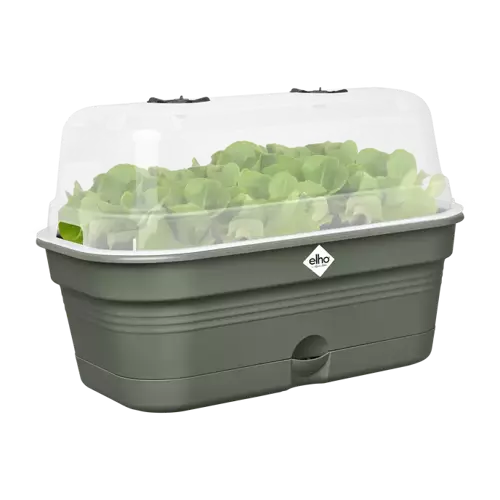 Green Basics Grow Tray All in1 Leaf Green 39cm - image 2