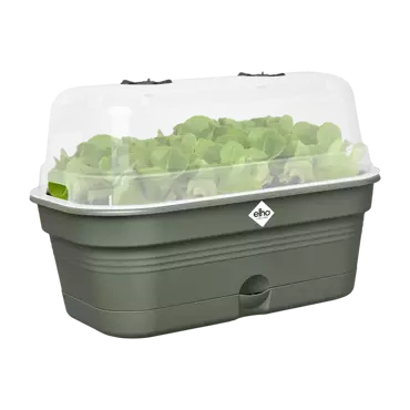 Green Basics Grow Tray All in1 Leaf Green 39cm - image 2