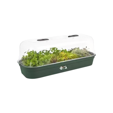 Green Basics Grow Tray L Leaf Green - image 4