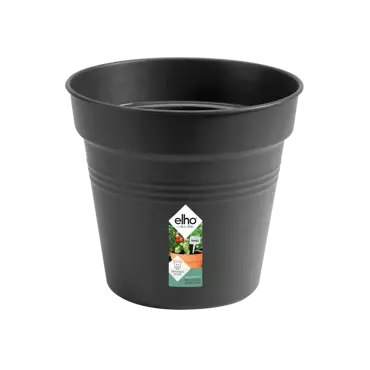 Green Basics Growpot 11cm Living Black - image 1