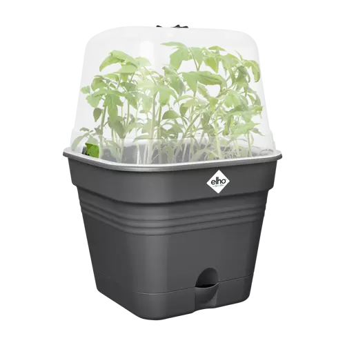 Green Basics Growpot Square All in1 25cm Living Black - image 2