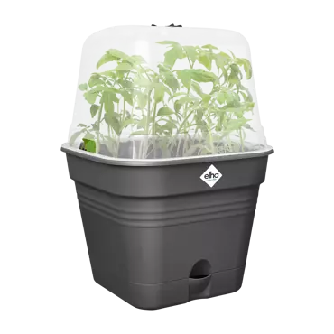 Green Basics Growpot Square All in1 25cm Living Black - image 2