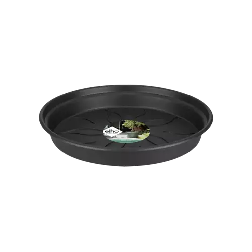 Green Basics Saucer 10cm Living Black - image 1